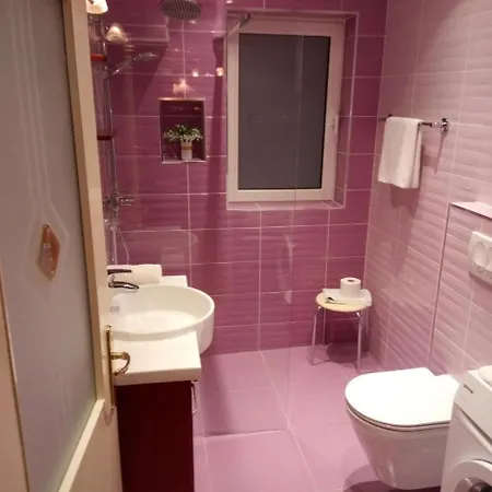 Radic Апартаменты *